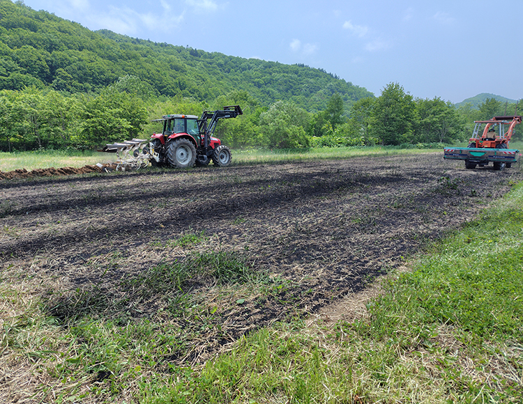 研究テーマ①バイオ炭