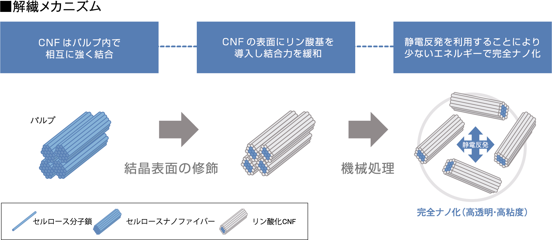 リン酸エステル化CNFの開発