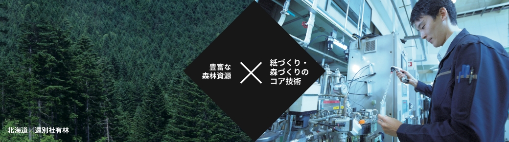 豊富な森林資源 × 紙づくり・森づくりのコア技術